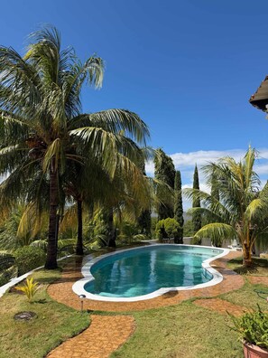 Une piscine entourée de palmiers et bordée d’un chemin en briques.