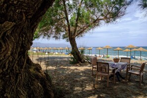 Un área de comedor en la playa con mesas y sillas bajo un árbol grande, con vista al mar.
