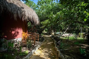 Property grounds - Finca Oz (Homún)