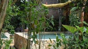 A lush indoor garden with a stone pathway, a small pool, and various tropical plants. - Finca Oz (Homún)