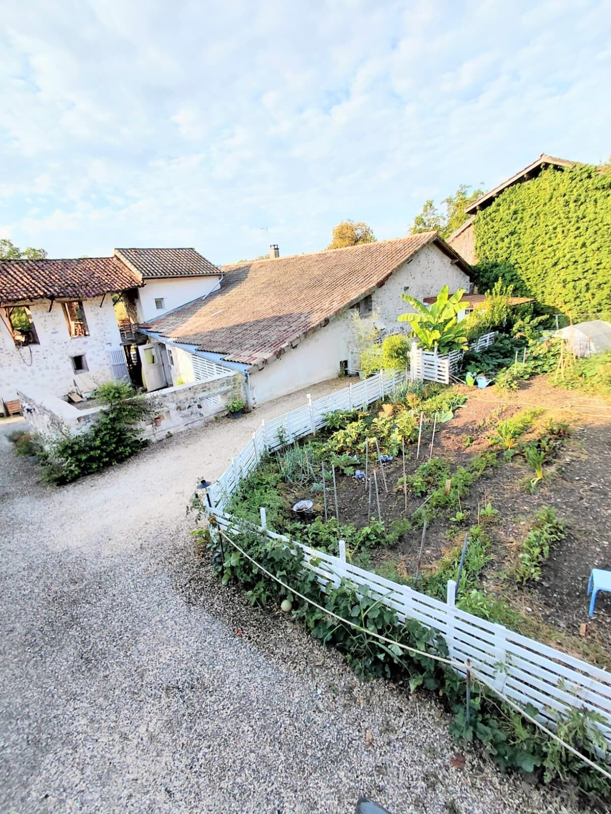 Una proprietà rurale con edifici in pietra, un vialetto sterrato e un'area giardino recintata.