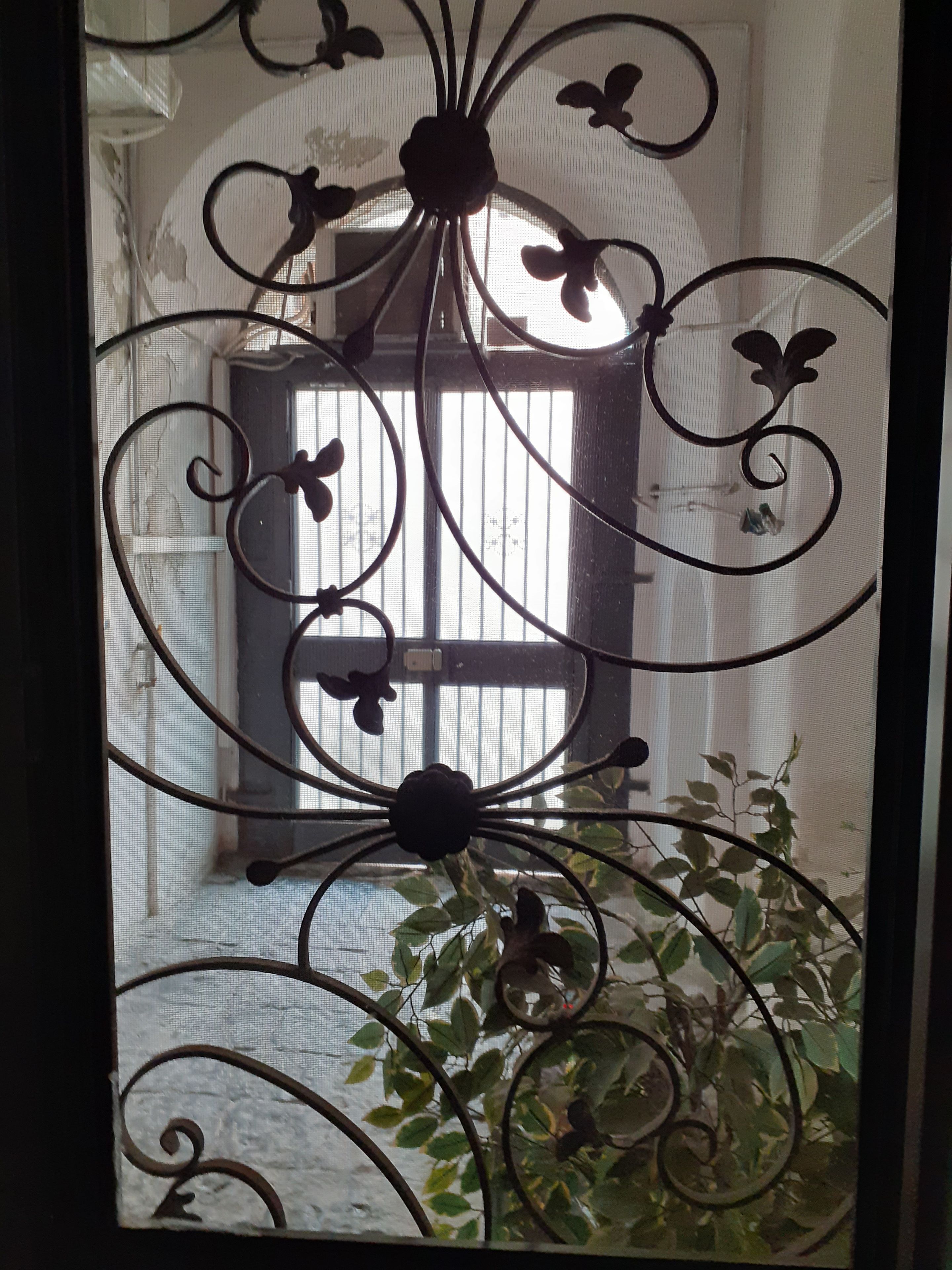 Una porta de ferro forjat amb motius florals, una finestra amb persianes verticals i una planta en test a primer terme.