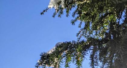 Appartement de vacances 64 mÂČ + sauna + carte d'hĂŽte rĂ©gionale incluse