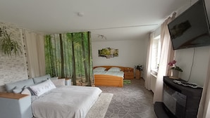 A bedroom with a bed, a sofa, a TV, and a fireplace.