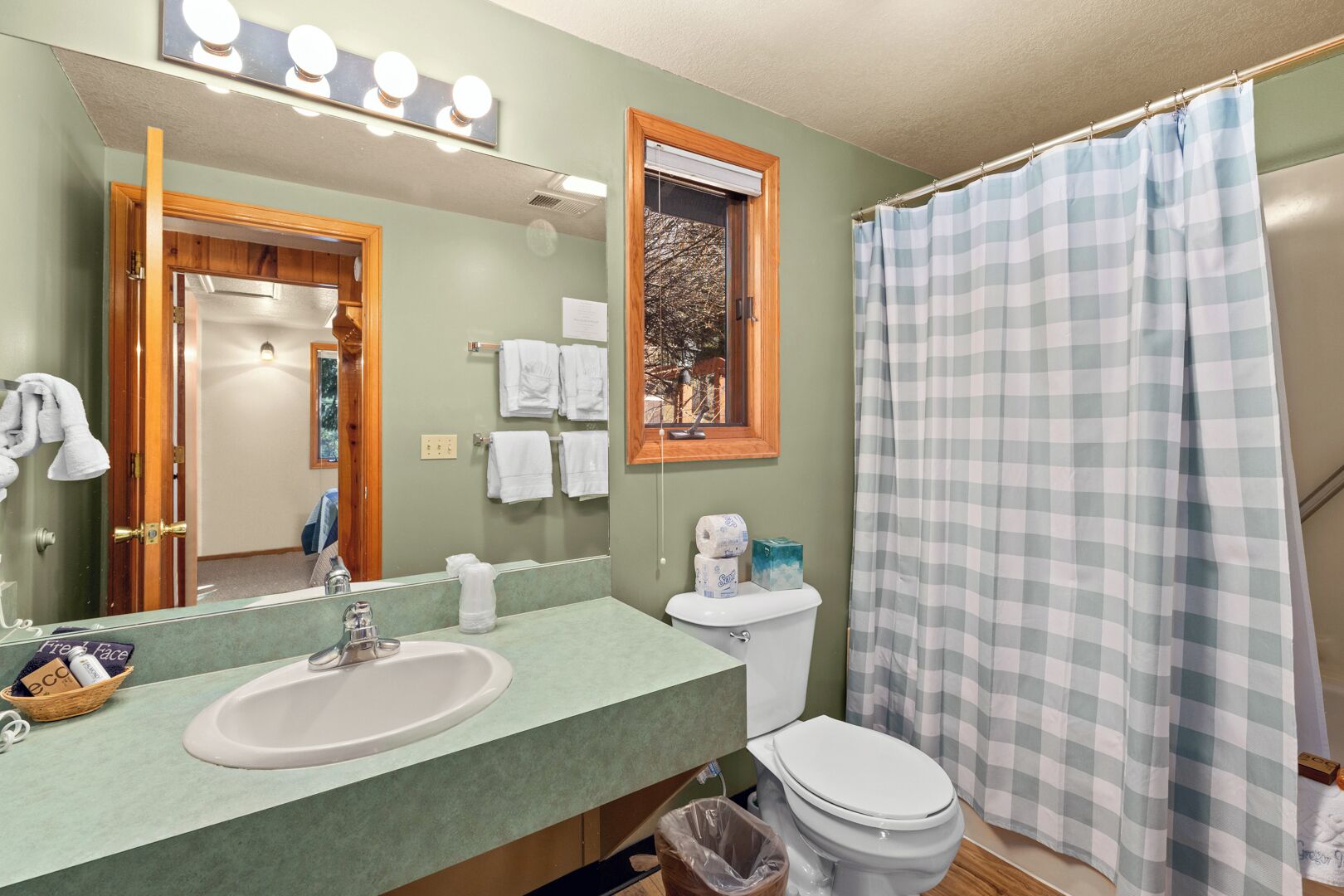Hair dryer, towels, soap, toilet paper