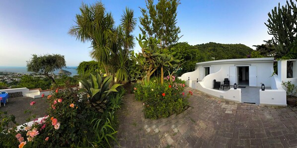 Exterior - barracudasuite (Ischia)