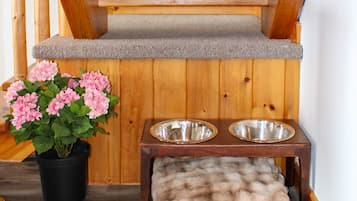 A wooden staircase with a pet feeding station at the bottom.