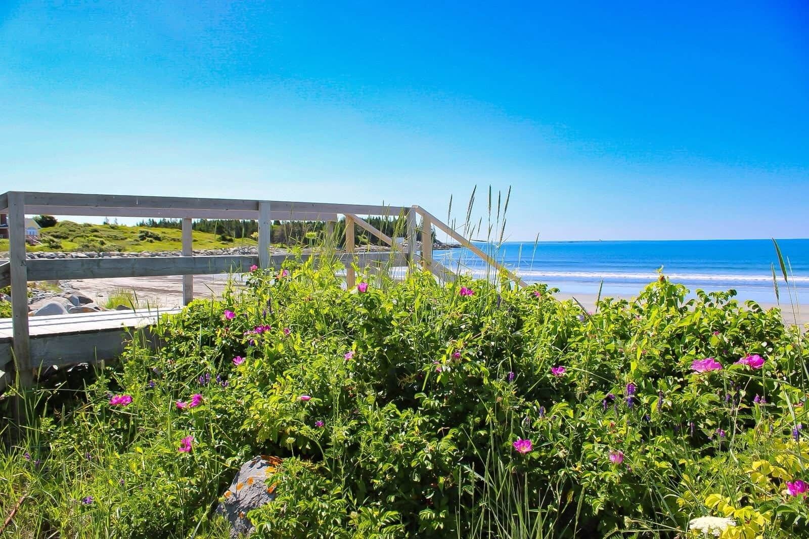 A coastal view with a wooden deck overlooking the beach.