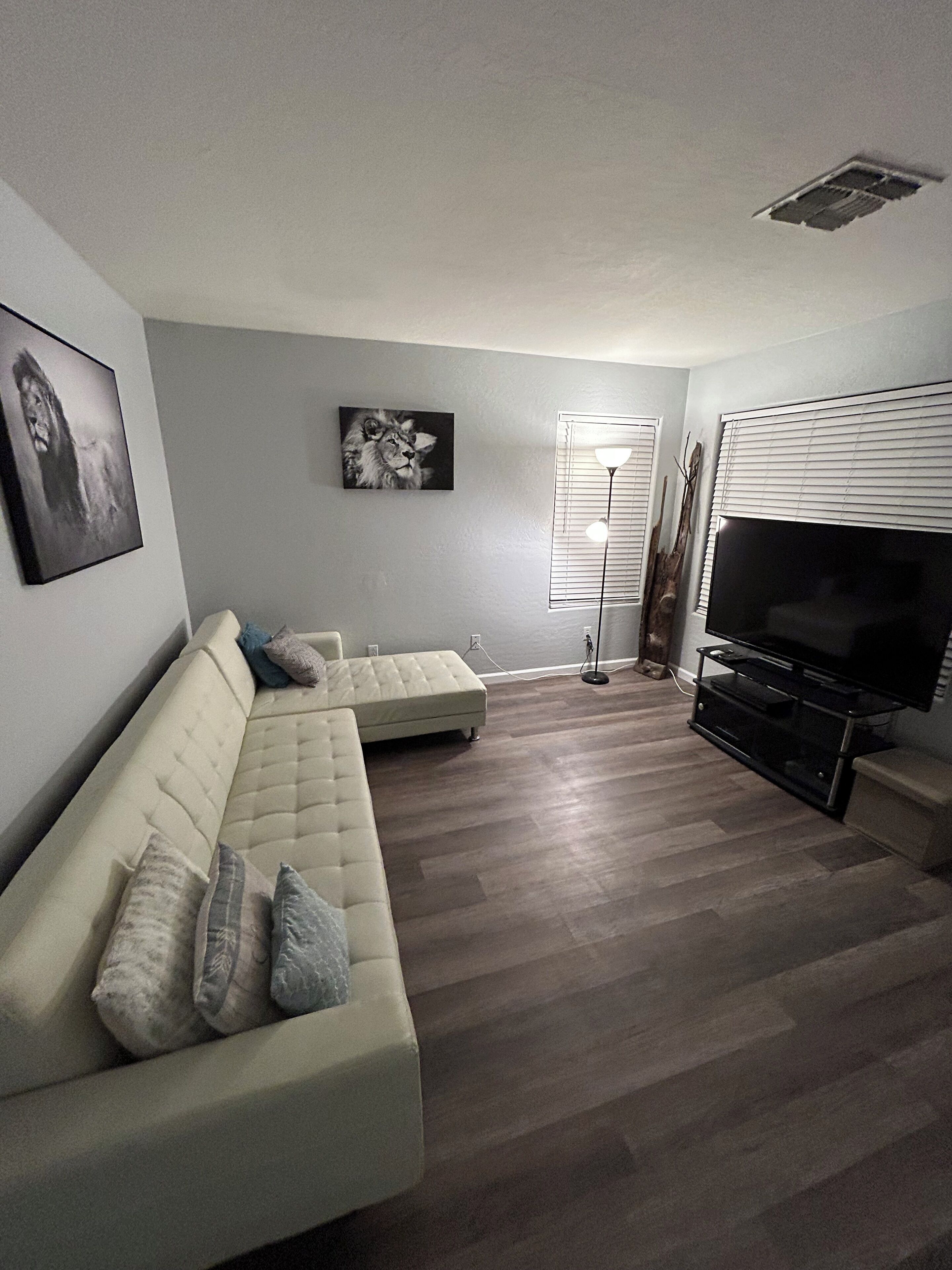 Smart TV, video games, books