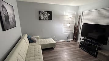 Smart TV, video games, books