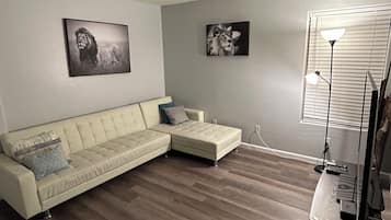 Smart TV, video games, books