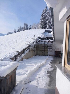 Property grounds - House at the edge of the forest Thiersee (Thiersee)