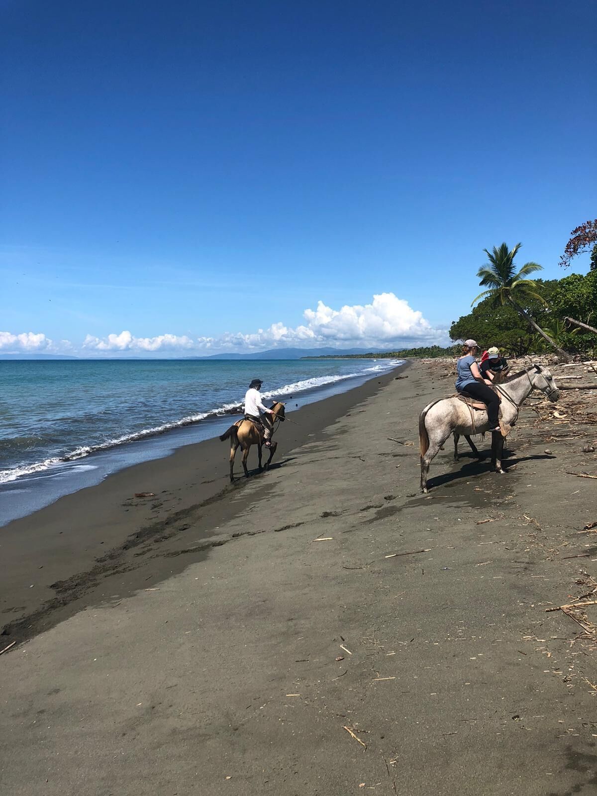 Una playa con dos caballos y jinetes, cielo despejado y mar tranquilo.
