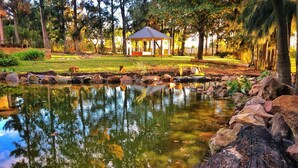 A tranquil pond with a gazebo, surrounded by rocks and trees.