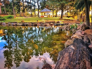 A tranquil pond with a gazebo, surrounded by rocks and trees.