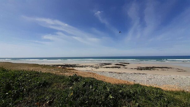 Una playa con cielo despejado y olas.