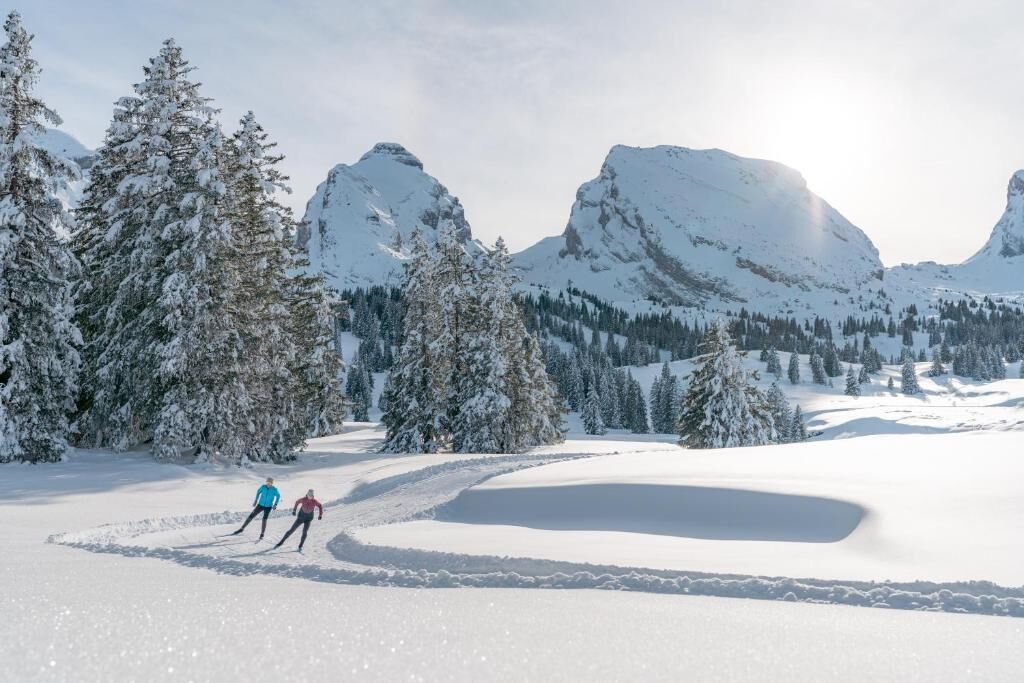 Un paysage enneigé avec un sentier bien dégagé et des montagnes en arrière-plan.