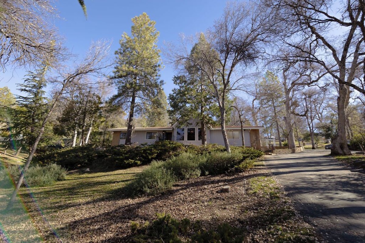 Imagen de perfil del propietario o de la propietaria