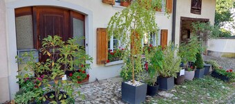 Characteristic 18th-century apartment, hiking groups, families