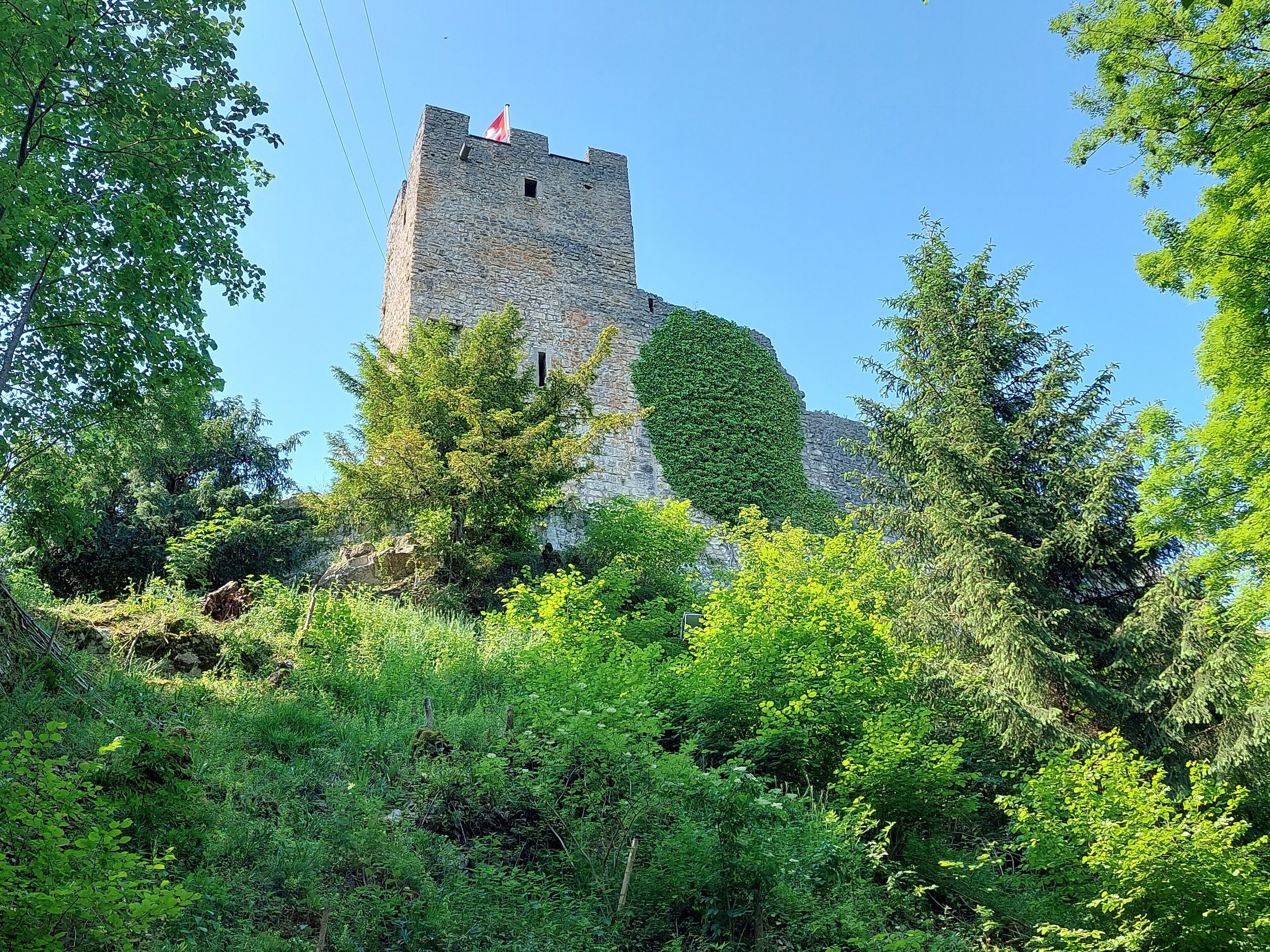 Une tour de pierre surmontée d’un drapeau, entourée d’une végétation luxuriante.