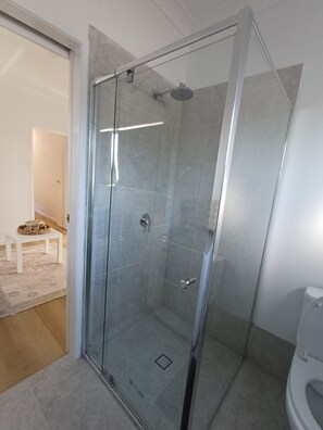 Shower, towels, soap, toilet paper