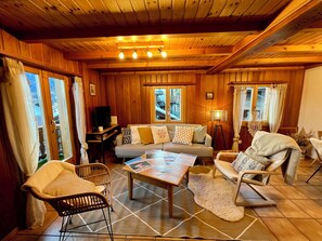 TV, fireplace, books