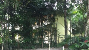 Un espace jardin agrémenté d’un chemin de gravier, entouré d’un feuillage dense et d’arbres.