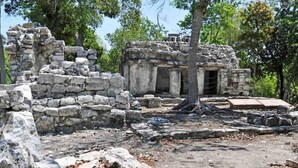 Ruínas antigas de pedra com estrutura parcialmente preservada, rodeadas por árvores.