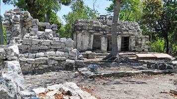 Terrain de l’hébergement