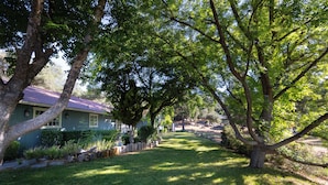 A residential property with a well-maintained lawn, mature trees, and a house with a red roof. - Moonrise Retreat, SPA, Near Yosemite & Bass Lake (Oakhurst)