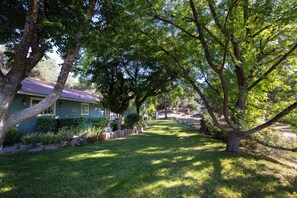Property grounds - Moonrise Retreat, SPA, Near Yosemite & Bass Lake (Oakhurst)