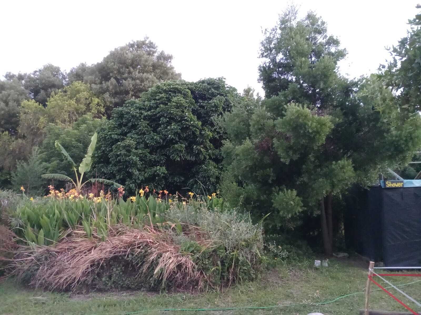 Combined shower/bathtub, towels, soap, toilet paper