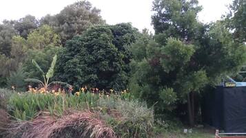 Combined shower/bathtub, towels, soap, toilet paper