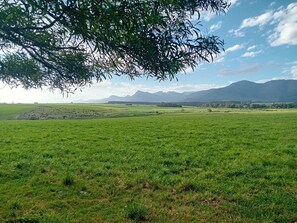Exterior - Tannenhof Guest Farm (Tsitsikamma)