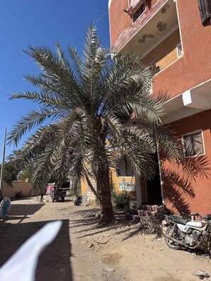 A building with a red exterior, a palm tree in front, and a parked motorcycle. - A clean and sunny apartment in the heart of Siwa (Siwa Oasis)