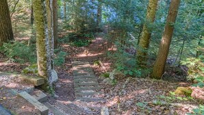 Un área boscosa con una escalera de madera que se adentra en el bosque.