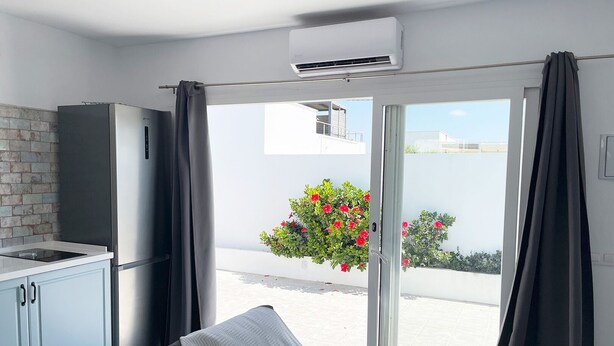 Eine moderne Küche mit Kühlschrank, einer kleinen Arbeitsfläche und einer Glastür zu einem Balkon mit einer Topfpflanze.