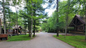 Een verharde oprit die leidt naar een houten chalet, omringd door bomen.