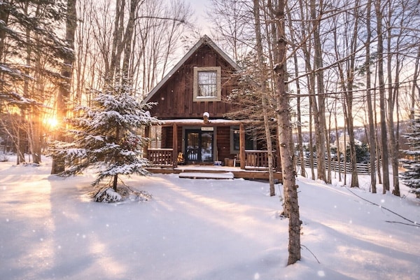 The Deep Creek Cabin in Winter