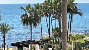 Vista sulla costa con palme, un muro in pietra e un'area pavimentata con un attraversamento pedonale.