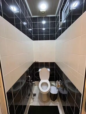 Haartrockner, Handtücher, Seife, Toilettenpapier