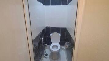 Assecador de cabells, tovalloles, sabó i paper higiènic