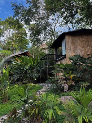 Àrea exterior de l'allotjament