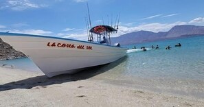 Fishing - Costa del Sol Hotel & Sportfishing (Bahía de los Ángeles)