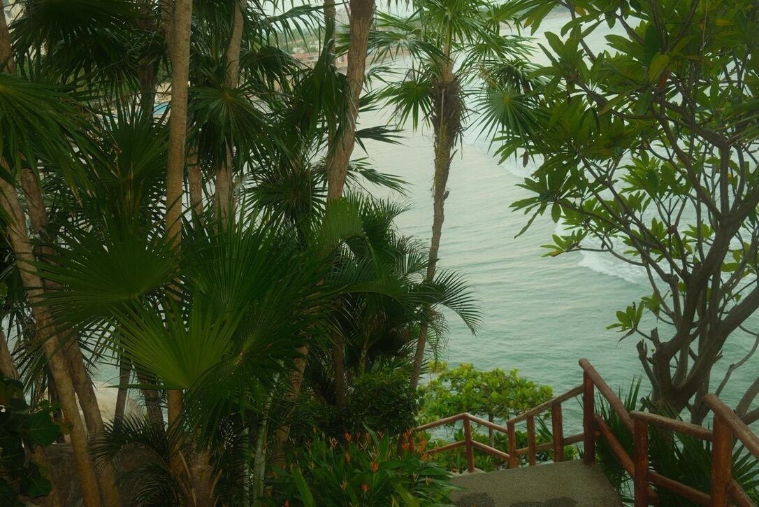 A wooden staircase leading down to a beach, surrounded by lush tropical vegetation.