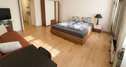 Comfortable 1BR Apartment Near Center