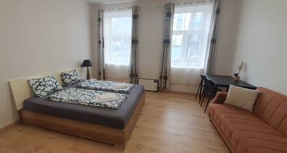 Comfortable 1BR Apartment Near Center