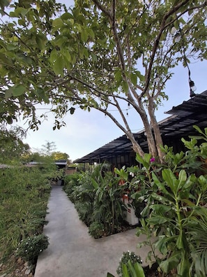 Exterior - Casa Nacpan (El Nido)
