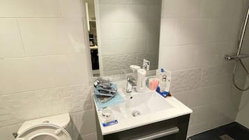 Douche, sèche-cheveux, serviettes fournies, papier toilette