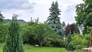 Une pelouse bien entretenue, avec un grand arbre à feuilles persistantes, une balançoire et, au fond, une variété d’arbustes et d’arbres.